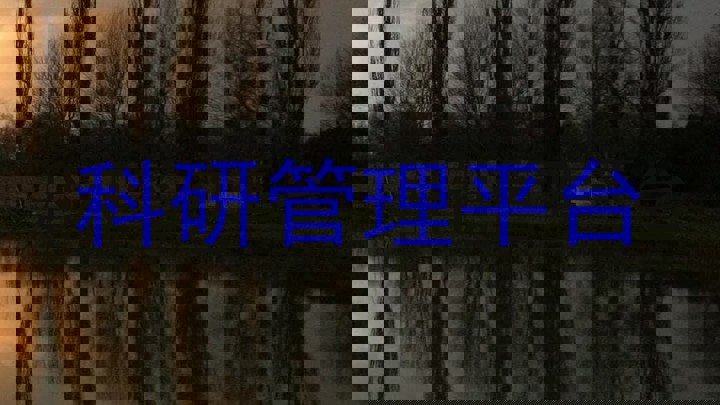 科研管理平台