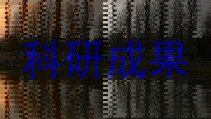 科研成果