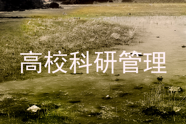 高校科研管理