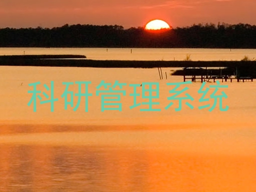 科研管理系统