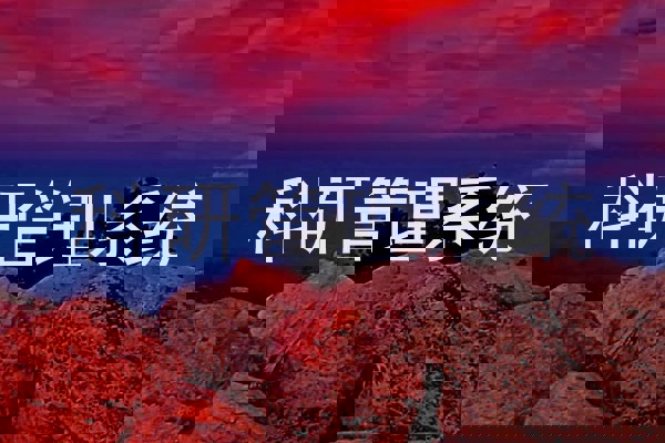 科研管理系统