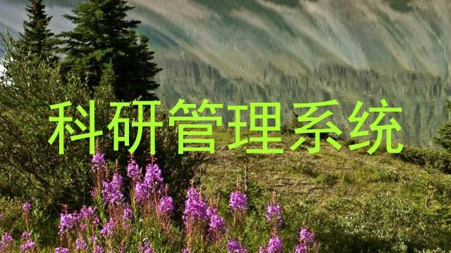 科研管理系统