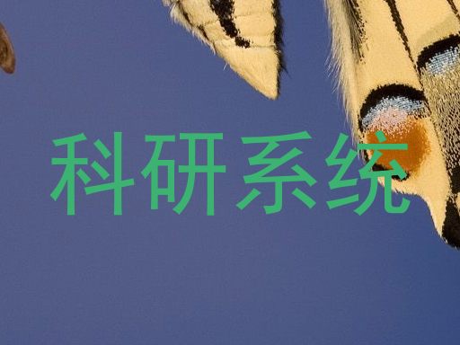 科研系统