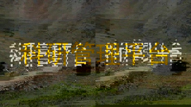 科研管理平台