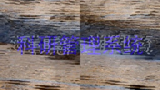 科研管理系统