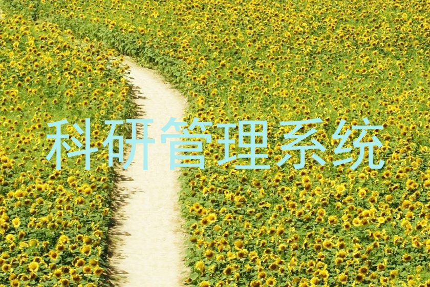 科研管理系统