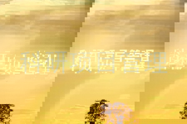 科研项目管理