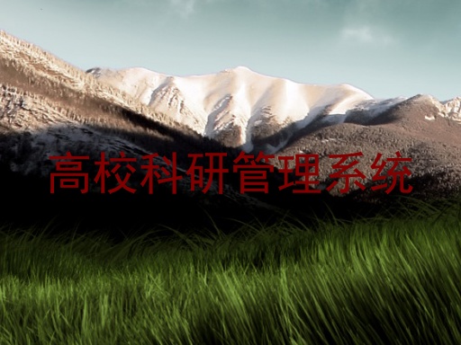 高校科研管理系统