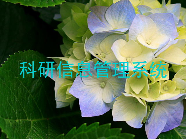 科研信息管理系统