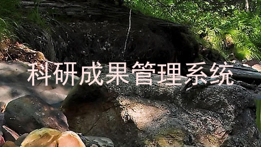 科研成果管理系统