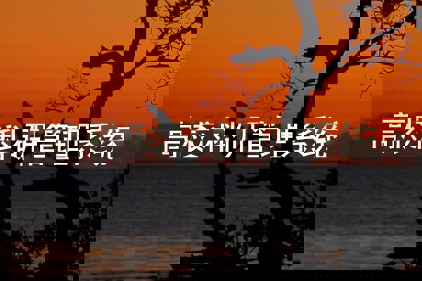 高校科研管理系统