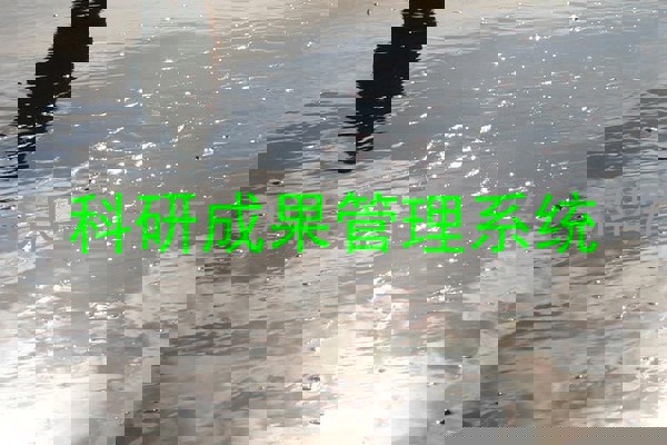 科研成果管理系统
