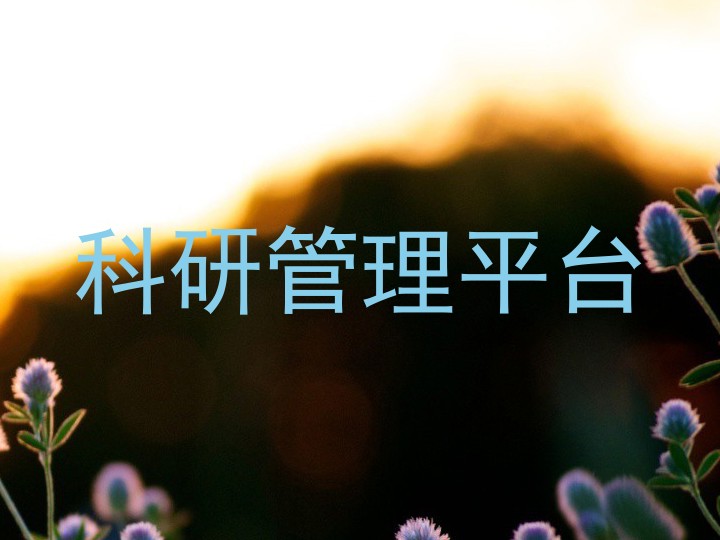 科研管理平台