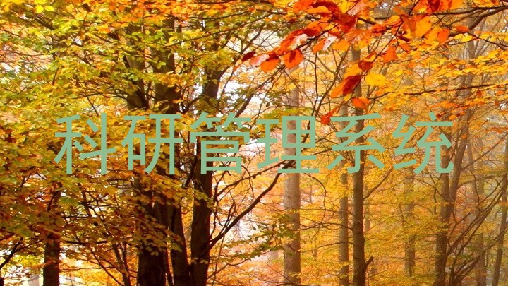 科研管理系统