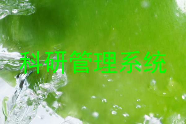 科研管理系统