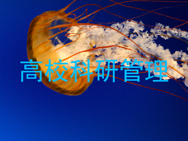 高校科研管理