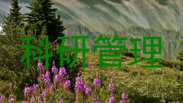 科研管理