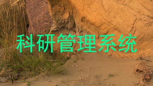 科研管理系统