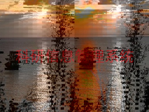 科研信息管理系统