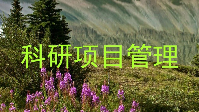 科研项目管理