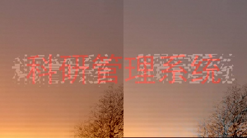 科研管理系统
