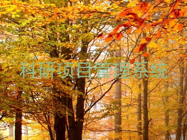 科研项目管理系统