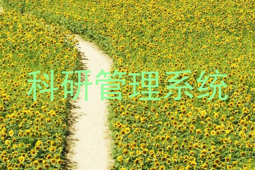 科研管理系统