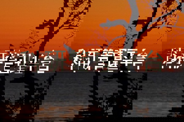 科研管理平台