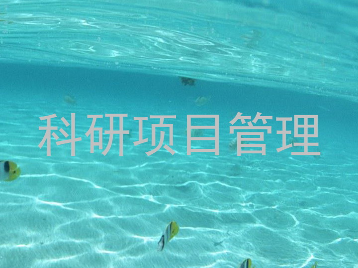 科研项目管理