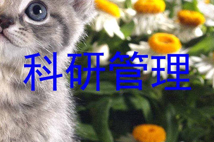 科研管理