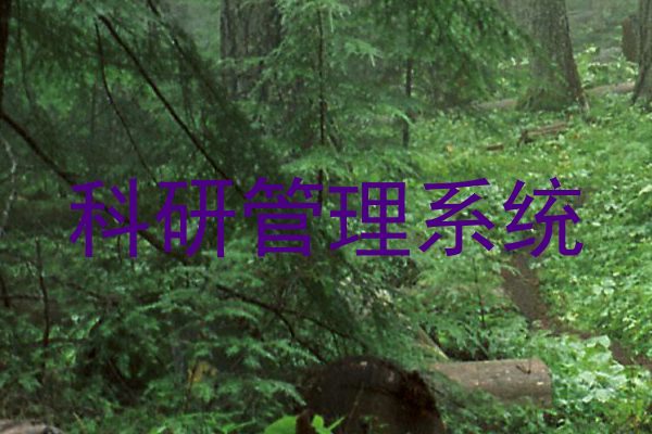 科研管理系统