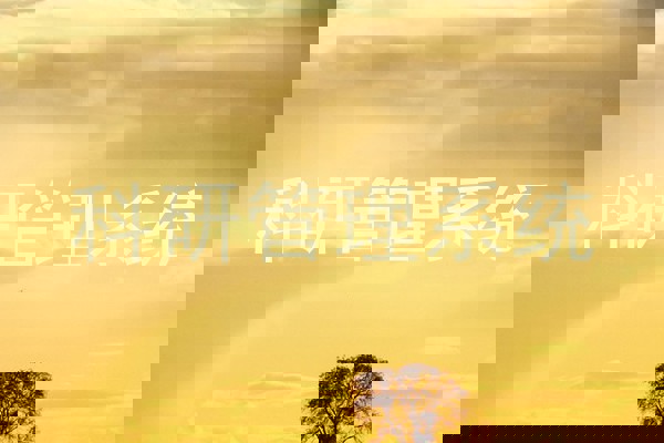 科研管理系统