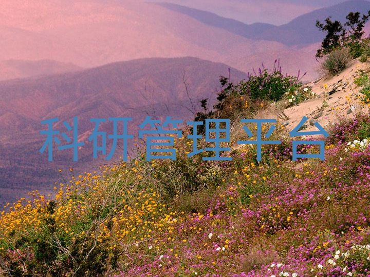 科研管理平台