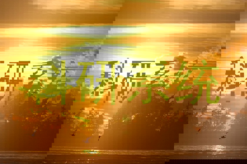 科研系统