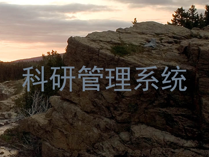 科研管理系统