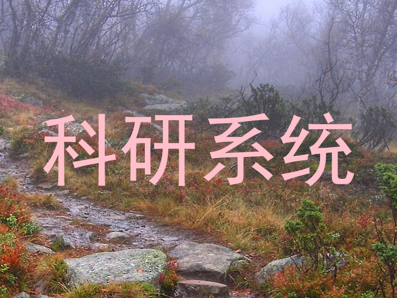 科研系统