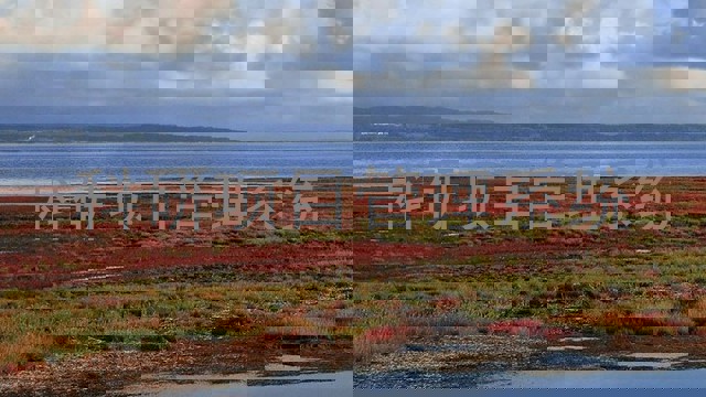 科研项目管理系统