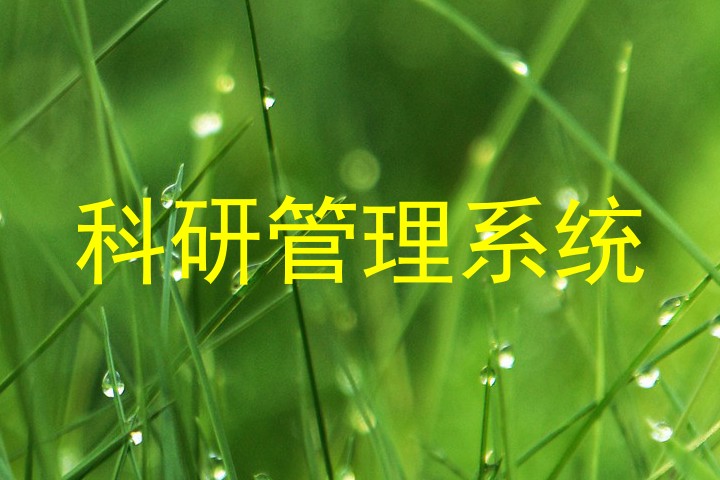 科研管理系统