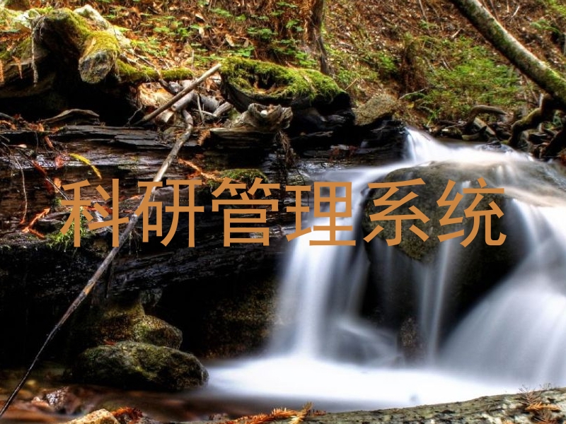 科研管理系统