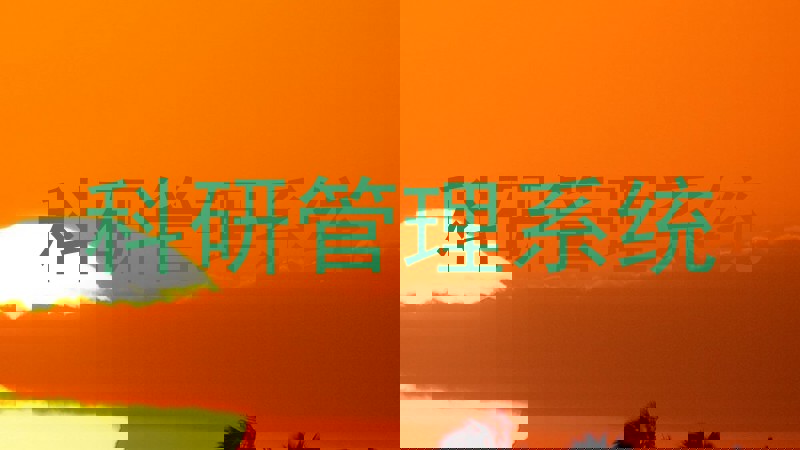 科研管理系统