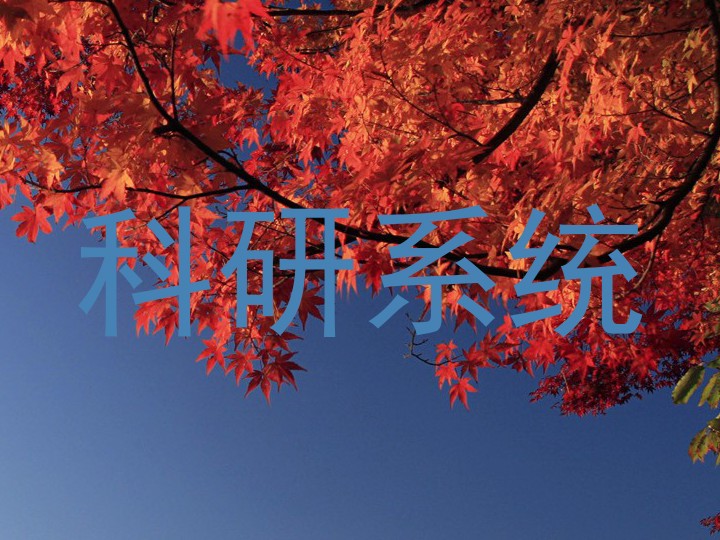 科研系统