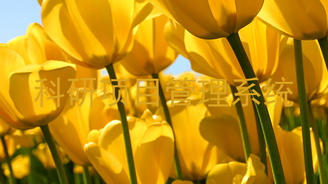 科研项目管理系统