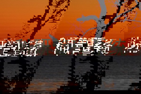 科研管理系统