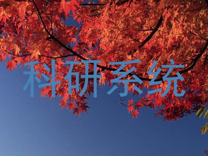 科研系统