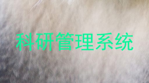 科研管理系统