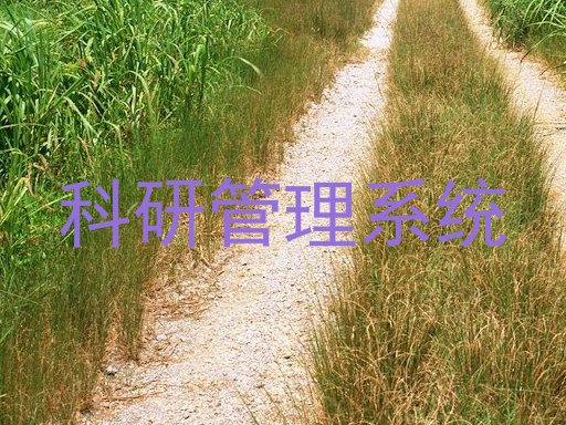 科研管理系统