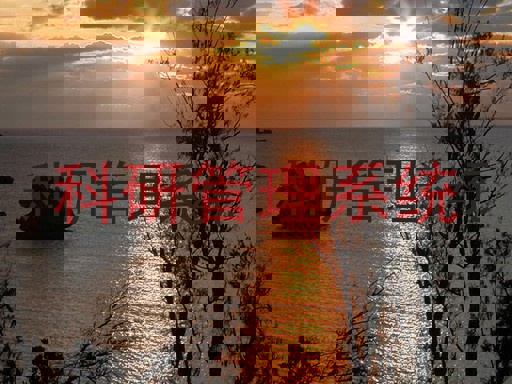 科研管理系统