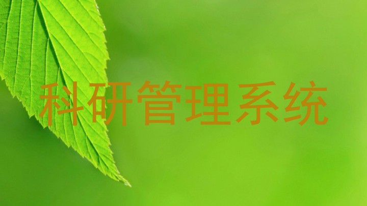 科研管理系统