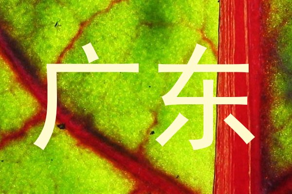 广东