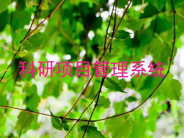 科研项目管理系统